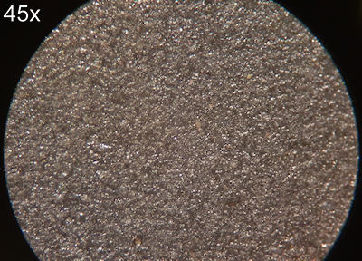 TNIP-Microscope45x1sm.jpg
